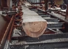 2020年即将过半，疫情时代下我国木材行业如何发展？