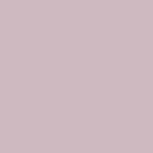 竹香板木槿紫