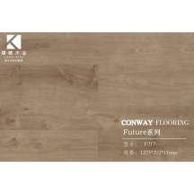 康威	强化地板(浮雕系列)KF217
