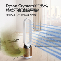 Dyson戴森 除甲醛空气净化风扇(净化,凉风)TP06