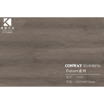 康威	强化地板(浮雕系列)KF219