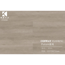康威	强化地板(浮雕系列)KF113