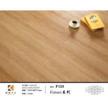 康威	强化地板(浮雕系列)KF123
