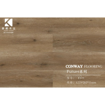 康威	强化地板(浮雕系列)KF119