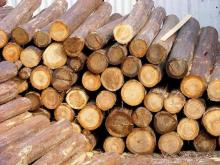 最新！木材进口税率下调，板材、定制企业迎来开门利好